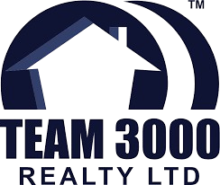 team 3000